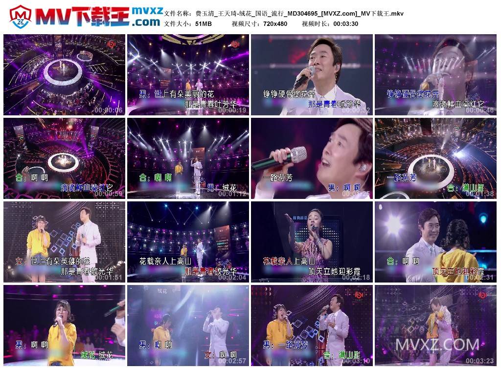 费玉清_王天琦-绒花_国语_流行_MD304695
